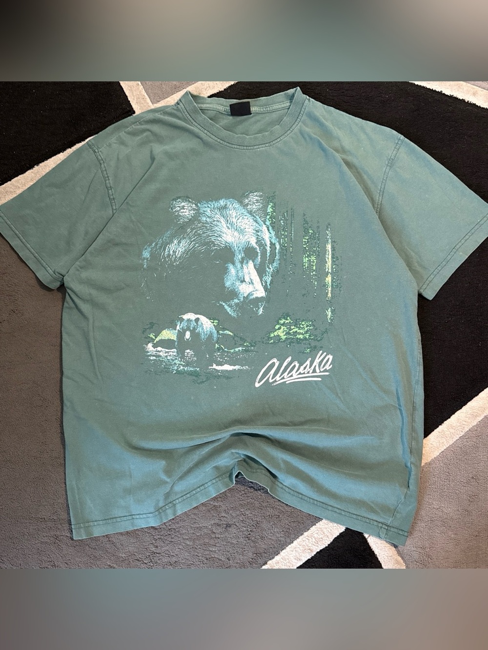 Teal Alaska bear graphic tee